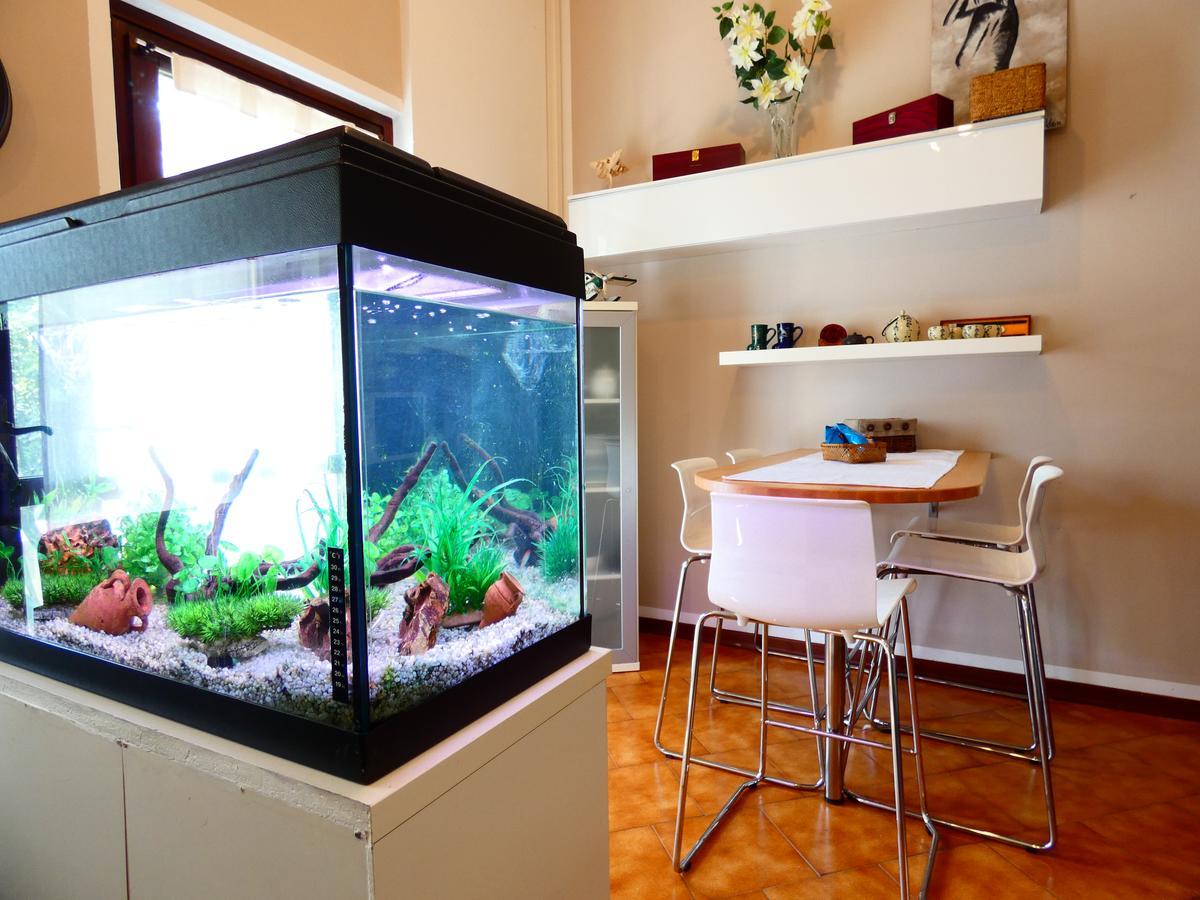 데센자노델가르다 Garden Sweet House Desenzano 아파트 외부 사진